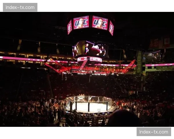 UFC 301前瞻：雏量级新老对决，前冠军斯特林迎战不败新星