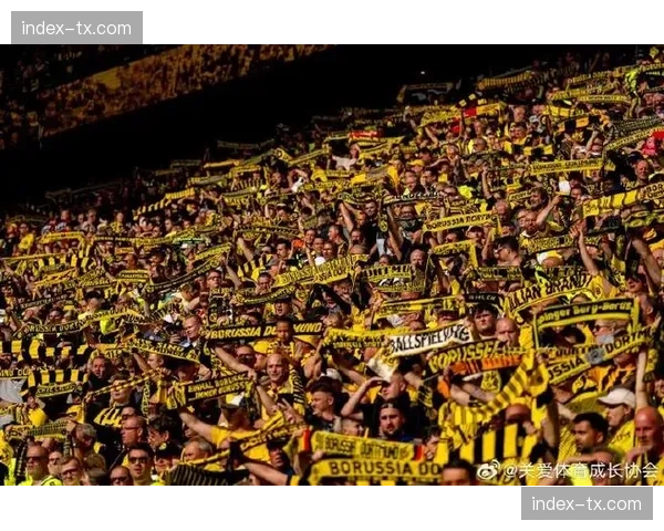 “奔跑吧,黄黑!”多特蒙德俱乐部组织球迷主题跑步活动 “奔跑吧,黄黑!”多特蒙德俱乐部组织球迷主题跑步活动