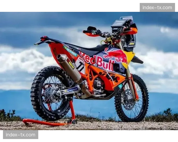 BMX竞速世界杯罗滕达尔站：荷兰本土车手包揽男子组前三