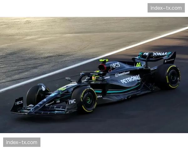 F1七冠王汉密尔顿谈退役后规划——专注时尚与环保事业